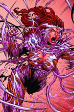 Image: Witchblade #169 (cover A - Christopher)