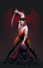Image: Red Robin #12