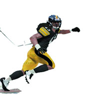 Image: TMP Sports NFL Series 29 Polamalu Action Figure Case 