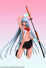Image: Ikki Tousen PVC Figure: DD Shiryu Choun  (Damage version)