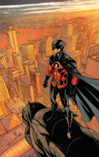 Image: Red Robin #6