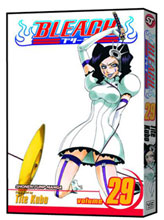 Image: Bleach Vol. 29 SC  - Viz Media LLC