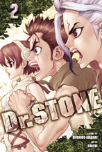 Image: Dr. Stone Vol. 02 GN  - Viz Media LLC