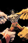 Image: Wolverine #48 (incentive 1:100 cover - Leinil Yu virgin) - Marvel Comics