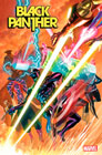 Image: Black Panther #13  [2023] - Marvel Comics