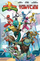 Image: Mighty Morphin Power Rangers / Teenage Mutant Ninja Turtles SC  - Boom! Studios