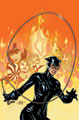 Image: Catwoman Vol. 05: Race of Thieves SC  (N52) - DC Comics