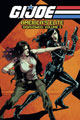 Image: G.I. Joe: America's Elite - Disavowed Vol. 03 SC  - IDW Publishing