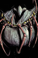Image: Superior Spider-Man Annual #2 - Marvel Comics