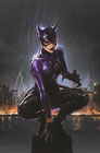 Image: Catwoman #63 (incentive 1:25 cardstock cover - Lesley Leirix Li) - DC Comics
