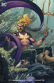 Image: Aquaman #55 (variant cover - Chris Stevens) - DC Comics