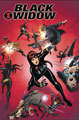 Image: Black Widow Poster Book SC  - Marvel Comics