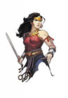 Image: Dark Knights of Steel #3 (incentive 1:25 card stock cover - Yasmine Putri Character Sheet)  [2022] - DC Comics