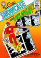 Image: Flash: A Celebration of 75 Years HC  - DC Comics
