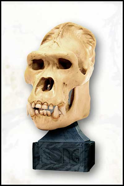 Image: Kong WETA Statue: Kong Skull  - 