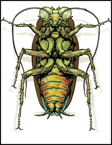 Image: Exterminators: Bug Brothers SC  - DC Comics