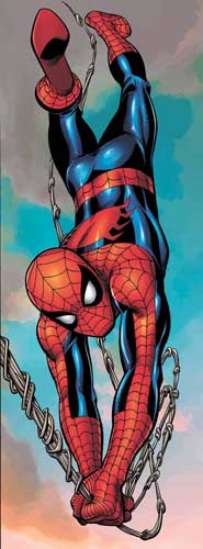 Image: Spider-Man Door Poster  - Marvel Comics