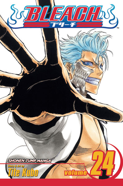 Image: Bleach Vol. 24 SC  - Viz Media