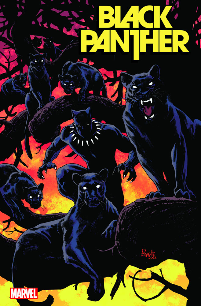 Image: Black Panther #8 (variant cover - Paquette)  [2022] - Marvel Comics