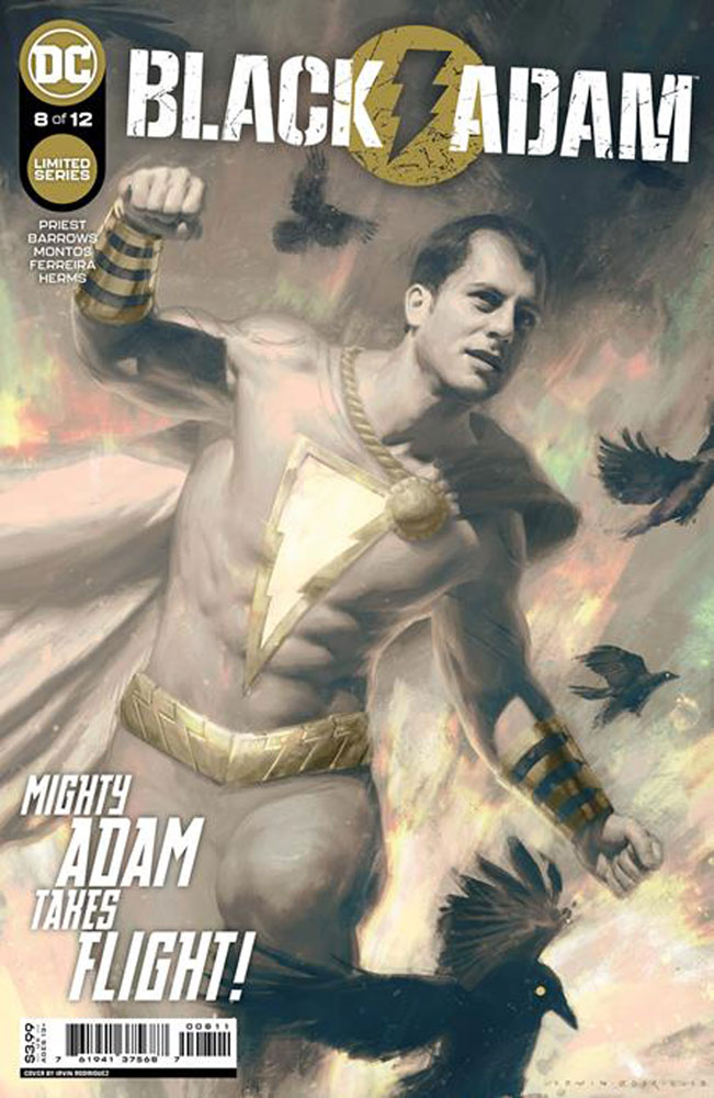 Image: Black Adam #8 (cover A - Irvin Rodriguez) - DC Comics