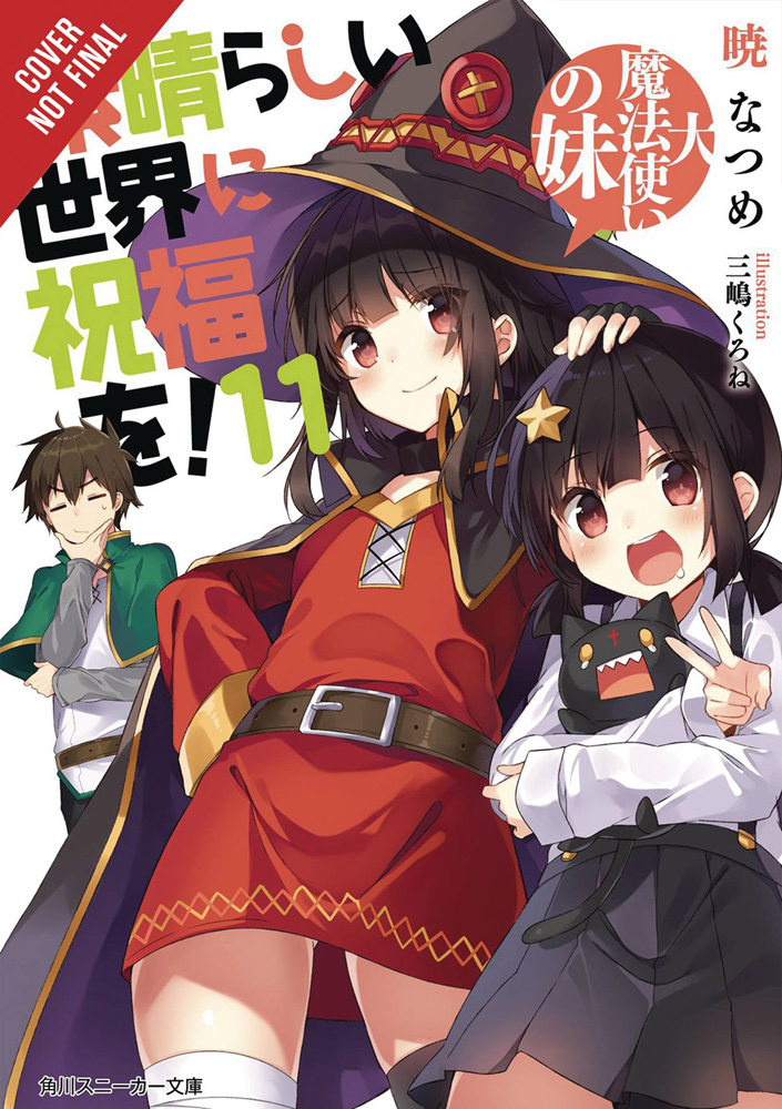 Image: Konosuba: God's Blessing on This Wonderful World! Light Novel Vol. 11 SC  - Yen On