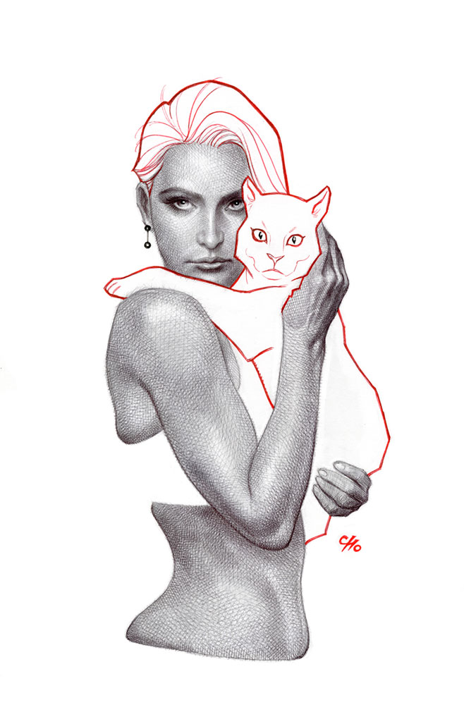 Image: Batman #134 (cover D incentive 1:25 cardstock - Frank Cho) - DC Comics