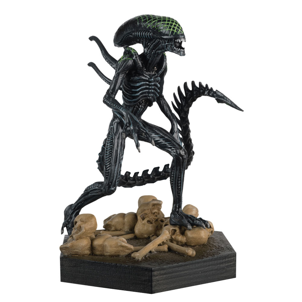 Image: Alien and Predator Figure 1/16 scale Retail Boxes #3 (Grid Xenomorph AvP) - Hero Collector