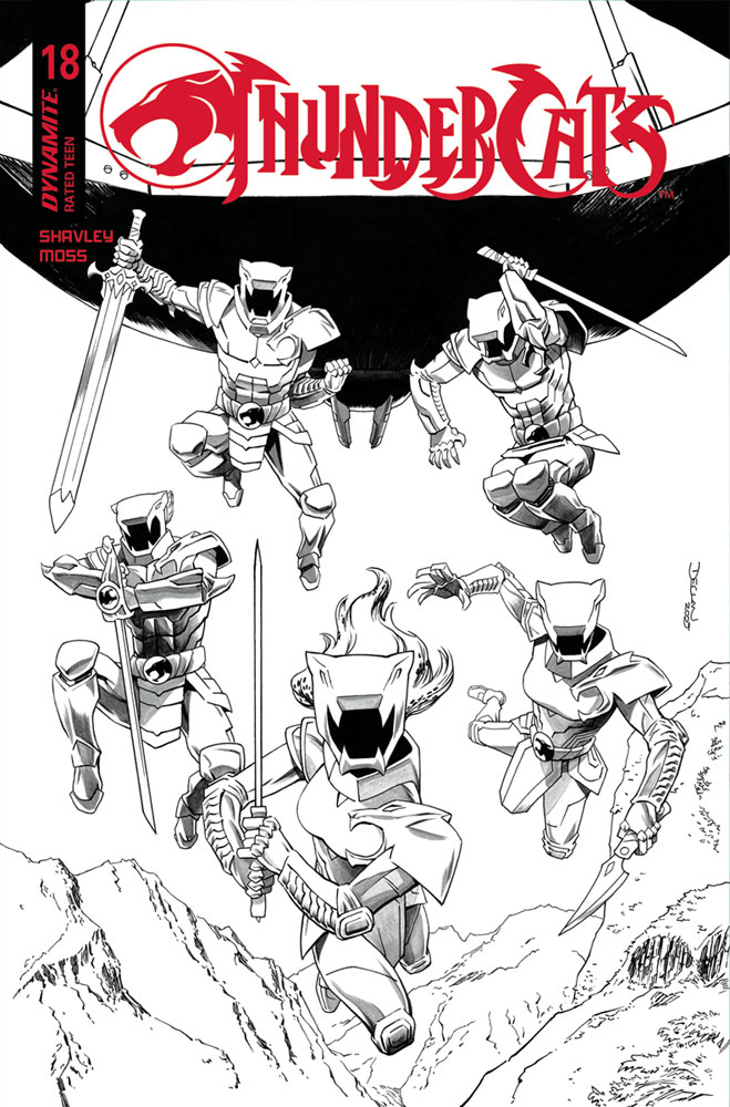 PreOrder: Incentive 4 Pack Thundercats #2 Virgin Variant/Crain/Tao/Nakayama/Parrillo main image 1