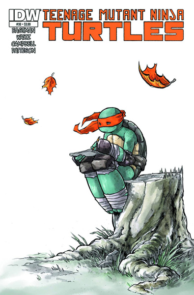 Image: Teenage Mutant Ninja Turtles #30 - IDW Publishing