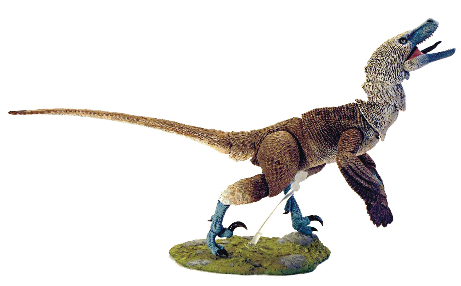 Image: Beasts of Mesozoic Raptor Series Action Figure: Acheroraptor  (1/6 scale) - Creative Beast Studio LLC
