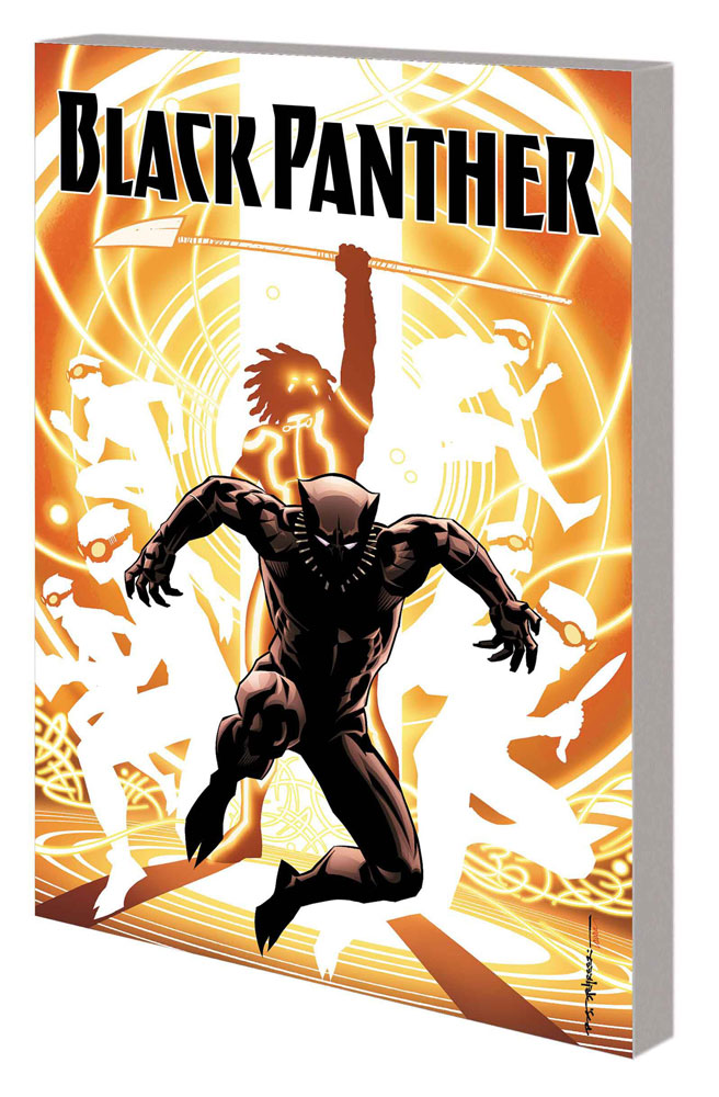 Image: Black Panther: A Nation Under Our Feet Vol. 02 SC  - Marvel Comics