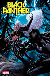 Image: Black Panther #6 (incentive 1:25 cover - Coccolo) - Marvel Comics