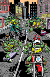 Image: Teenage Mutant Ninja Turtles: Saturday Morning Adventures Continued #2 (cover E incentive 1:25 - Lawson) - IDW Publishing