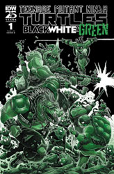 Image: Teenage Mutant Ninja Turtles: Black, White & Green #1 (cover B - Stokoe) - IDW Publishing