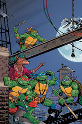 Image: Teenage Mutant Ninja Turtles: Saturday Morning Adventures [2023] #1 (cover E incentive 1:25 cover) - IDW Publishing