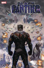 Image: Black Panther #25  [2020] - Marvel Comics