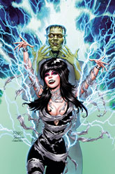 Image: Elvira in Monsterland #2 (cover J - Royle Ltd virgin) - Dynamite