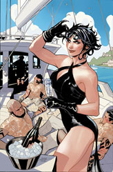 Image: Catwoman #56 (cover D cardstock Swimsuit - Terry Dodson, Rachel Dodson) - DC Comics