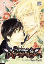 Image: Strange & Mystifying Story Vol. 02 GN  - Sublime