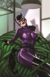 Image: Catwoman #62 (incentive 1:25 cardstock cover - Lesley Leirix Li) - DC Comics