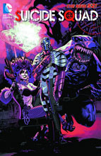 Image: Suicide Squad Vol. 04: Discipline and Punish SC  (N52) - DC Comics