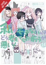 Image: No Matter How I Look at It, It's You Guys' Fault I'm Not Popular Vol. 14 SC  - Yen Press