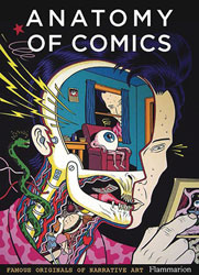 Image: Anatomy of Comics: Famous Originals of Narrative Art SC  - Flammarion