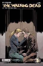 Image: Walking Dead #167  [2017] - Image Comics
