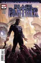Image: Black Panther #12 - Marvel Comics