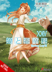 Image: Spice and Wolf Light Novel Vol. 24 SC  - Yen On