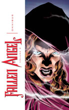 Image: Fallen Angel Omnibus Vol. 02 SC  - IDW Publishing