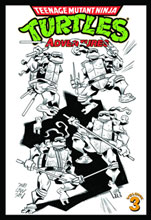 Image: Teenage Mutant Ninja Turtles Adventures Vol. 03 SC  - IDW Publishing