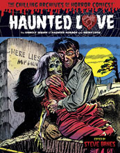 Image: Haunted Love HC  - IDW Publishing