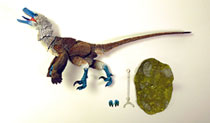 Image: Beasts of Mesozoic Raptor Series Action Figure: Acheroraptor  (1/6 scale) - Creative Beast Studio LLC